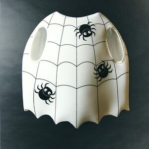 ZARA SPIDERWEB COSTUME
